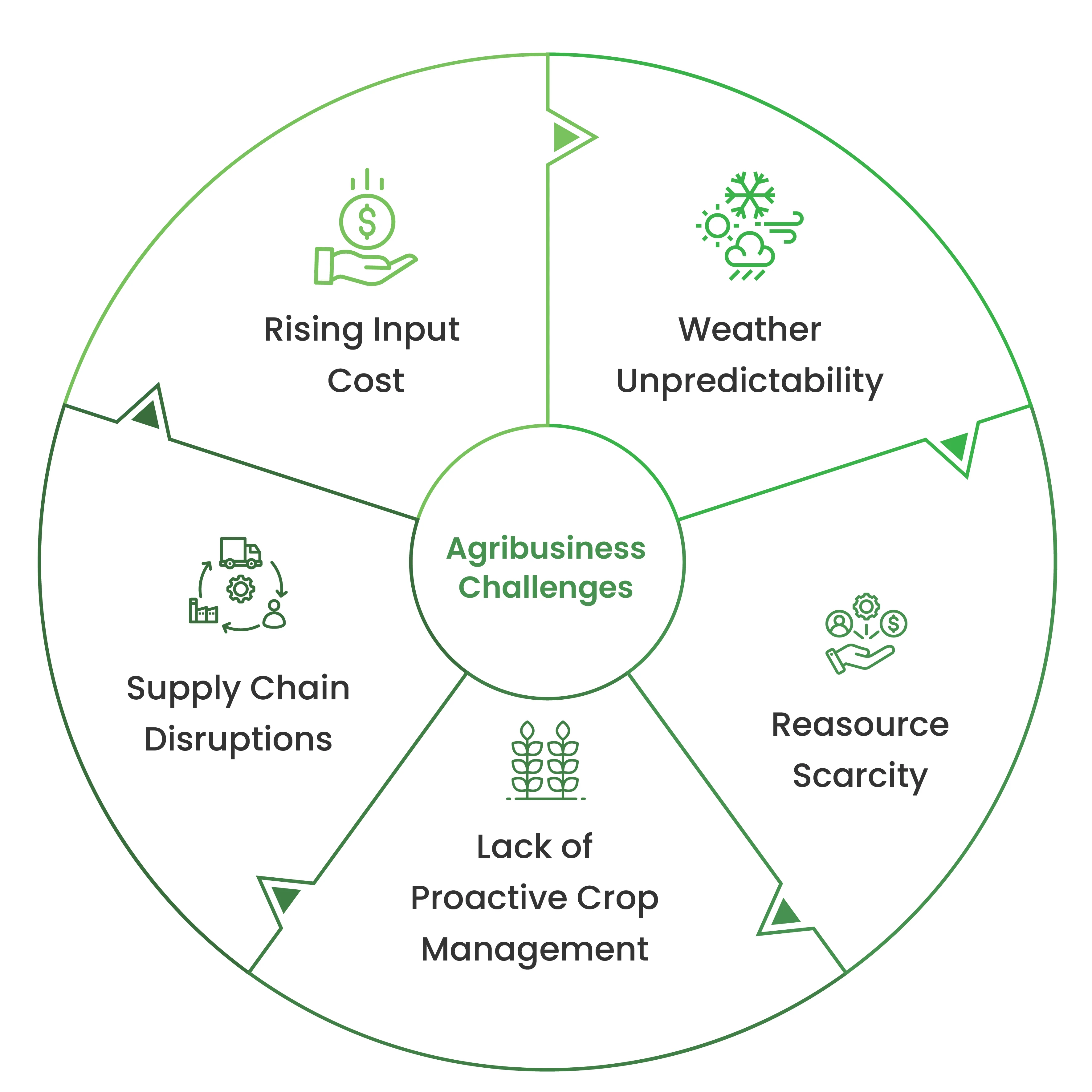 ROI Introduction