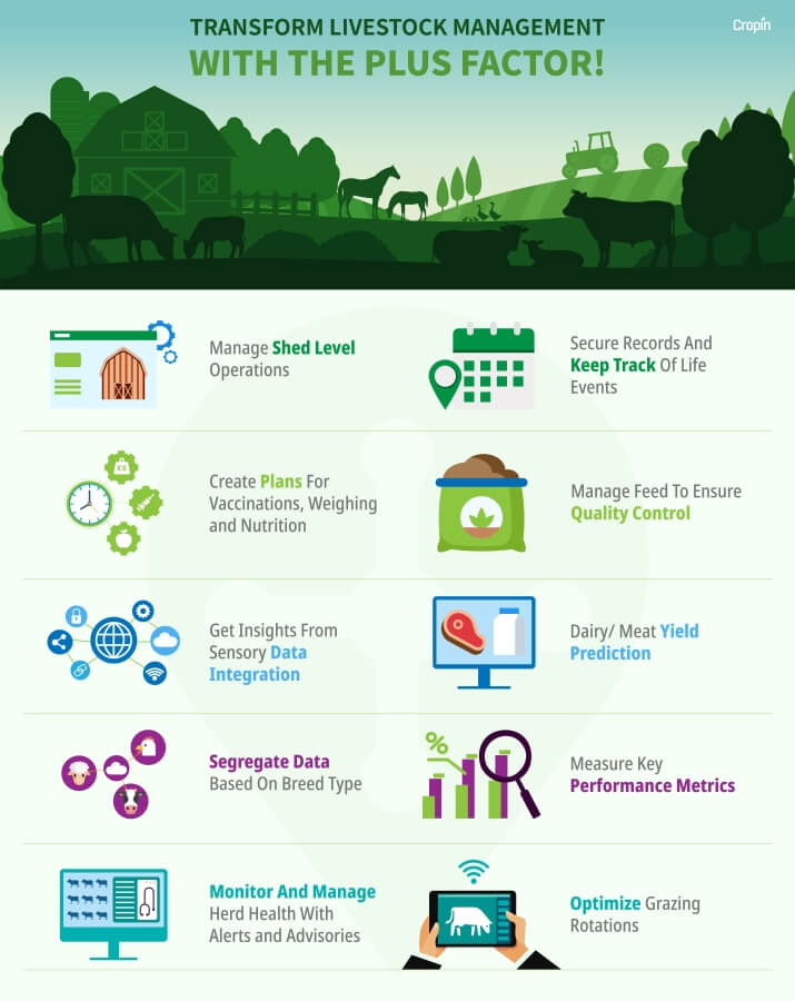 Optimized-Livestock-Infographic_IB