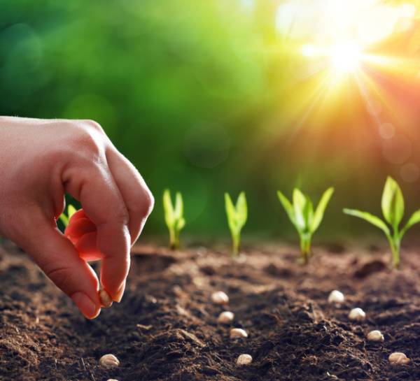 Crop-app-Transforming-global-operations